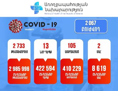13 new cases of COVID-19 confirmed in Armenia