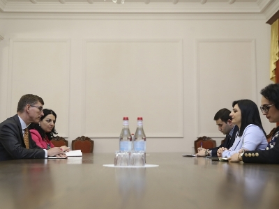 Ինձ համար առաջնահերթ են սահմանամերձ բնակիչների և արցախահայության իրավունքները. Թովմասյանը՝ Նիդերլանդների դեսպանին
