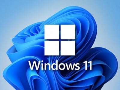 Пользователи Windows 11 пожаловались на новый баг