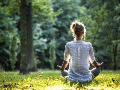 European officials meditate in forest to fight the climate crisis