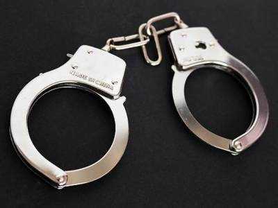 Египет выдал России вора в  законе Давида Герлиани