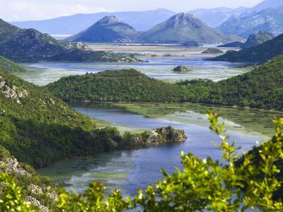 BRICS countries reaffirm their commitment to strengthen cooperation in environmental protection