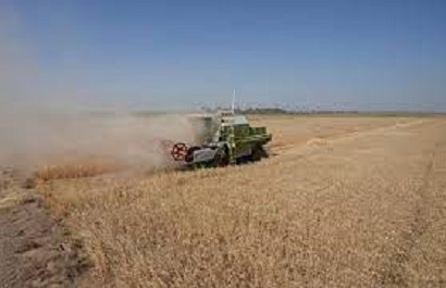 Իրաքում ջրի սուր անբավարարությունը կարող է հանգեցնել հացահատիկի բերքի լուրջ կրճատումների