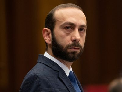 Armenia FM: Armenia and Turkey need political will to normalize relations