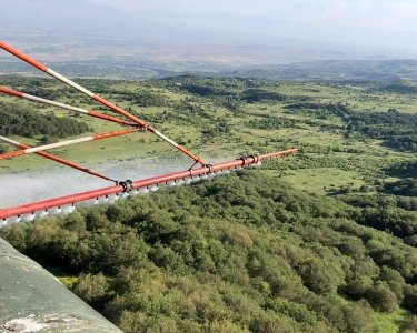 25 օր արգելված կլինի մարդկանց եւ կենդանիների մուտքը Բյուրականի անտառ
