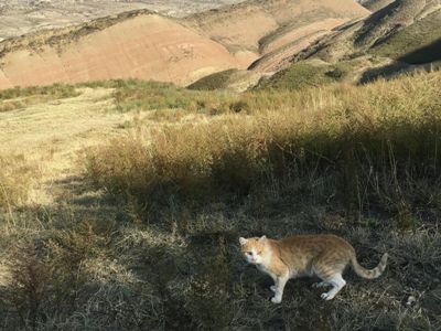 Italy warns of threat of desertification in a quarter of its territory