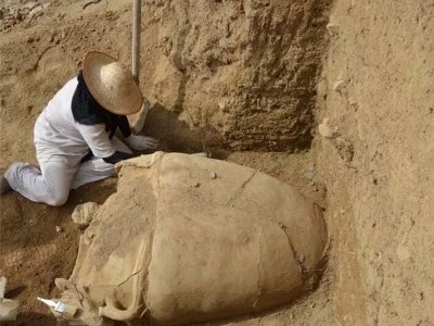 2,000-year-old cemetery with giant tombs discovered in Iran