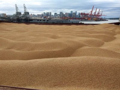 TASS presents details of grain corridor agreement