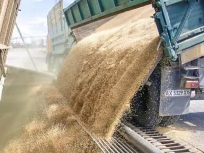 Kyiv says grain exports will start as early as this week