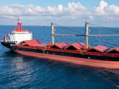 Turkey MOD: Ship loaded with wheat left Ukraine Port of Chornomorsk