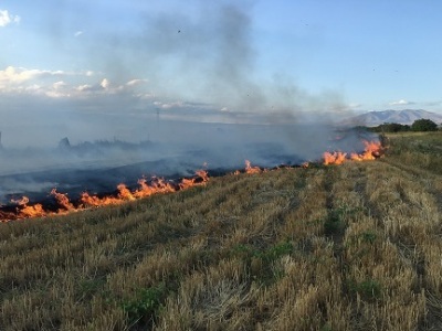 Կիրանց գյուղում այրվել է 20 հա խոտածածկույթ