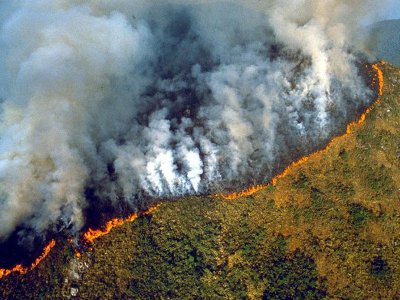 Number of fires in Brazilian Amazon in August reaches five-year high