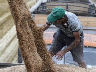 ԱՄՆ-ը եւ ԵՄ-ը խանգարում են գների իջեցմանը պարենի համաշխարհային շուկայում. ՌԴ ԱԳՆ