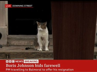 Larry the Cat confirms Boris Johnson leaves Downing Street residence