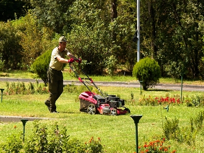 Նոր էկոպարկ ու 10 հա անտառվերականգնում. Երեւանի կանաչ ծրագրերը