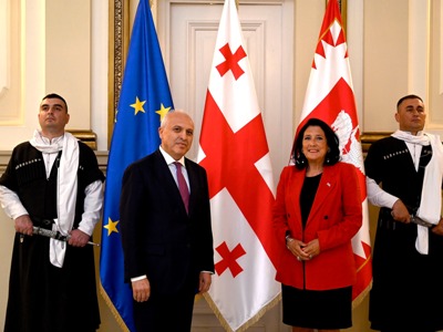 Armenia envoy briefs Georgia leader on current situation due to Azerbaijan military aggression (PHOTOS)