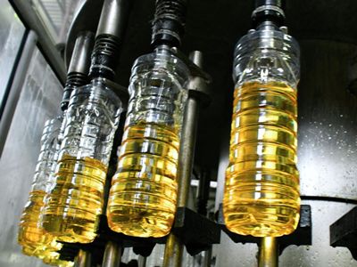 Կարեն Վանեցյանը Bunge-ից կգնի «Օլեյնա» բուսայուղի արտադրության բիզնեսը