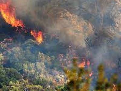 Forest fire breaks out and fire helicopter crashes in Turkish city of Marmaris