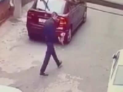 В Ереване объявился душитель котят