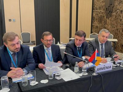 Առաջարկեցինք զեկույցում վերականգնել Հայաստանին և Արցախին վերաբերող հատվածը. Գեղամ Մանուկյան