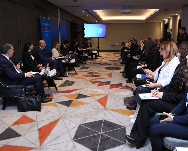Եվրոպայի խորհրդի հետ համագործակցությունը առաջիկայում ընդգրկելու է մի շարք նոր ուղղություններ. ՊՆ փոխնախարար