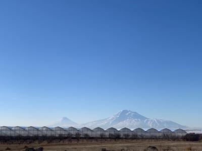 Իրականացվելու է ելակի լայնածավալ արտադրություն՝ արտահանման նպատակով. ԱՆԻՖ-ի նոր ներդրումը՝ գյուղատնտեսության ոլորտում
