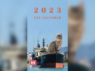 U.S. military slammed for unfortunate calendar with cats