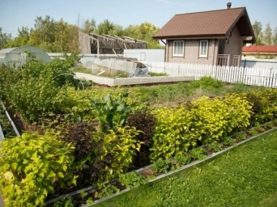 Izvestia: Russia proposes to confiscate dachas and land plots for debts