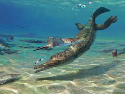 Scientists discover mystery of oldest 'Charmouth crocodile'