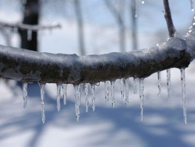 At least 10 people become victims of ice storm in southern US