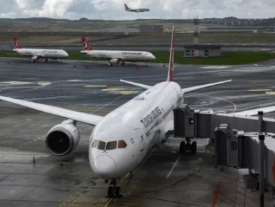 Авиакомпания Turkish Airlines отменила около 240 рейсов из-за ожидаемого в Стамбуле снегопада