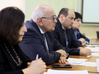 Վաչե Տերտերյանը Կայունացման և զարգացման հիմնադրամի գործընկերների հետ քննարկել է վերականգնվող էներգետիկայի խնդիրները