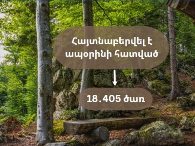 2022 թվականին հայտնաբերվել է ապօրինի հատված 18 հազար 405 ծառ. ԲԸՏՄ