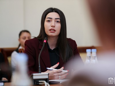 Առաջարկվում է զոհերի պաշտպանությունն իրականացնել նաև էլեկտրոնային հսկողության միջոցների գործադրմամբ