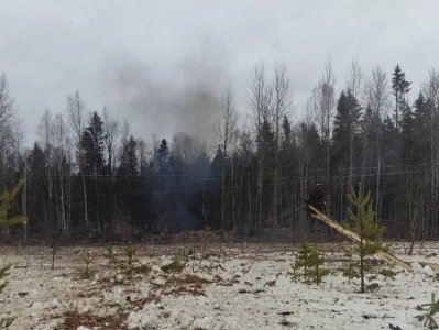 В Тульской области РФ обнаружили воронку диаметром полтора метра