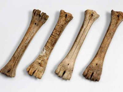 В Китае найдены коньки из костей животных возрастом 3500 лет