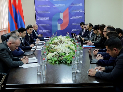 Բադասյանը ԱՄՀ հայաստանյան առաքելության ղեկավարի հետ քննարկել է հարկային եկամուտների կատարողականի կանխատեսումները