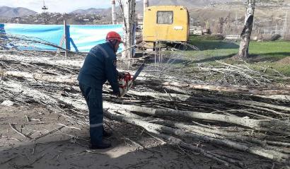 Վանաձորում բարդու ծառը տապալվել է՝ մասամբ հայտնվելով երթևեկելի գոտում