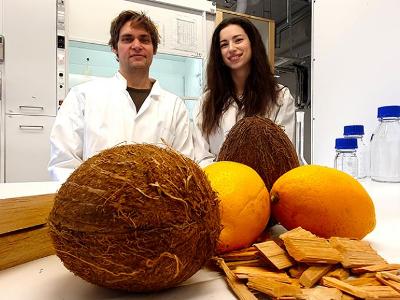 Sweden researchers create batteries from wood, coconut, lemon