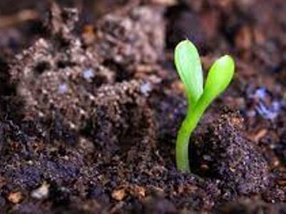 Այսուհետ կիրականացվի նաև հողի որակական ցուցանիշների հետազոտություն. «Փորձագիտական կենտրոն»