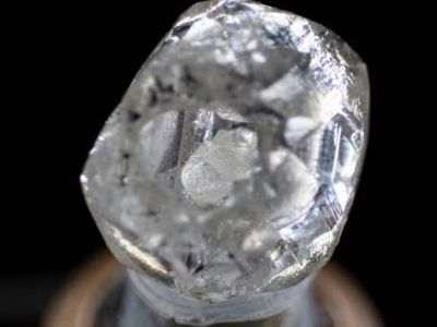 В Индии обнаружили редчайший алмаз-матрешку