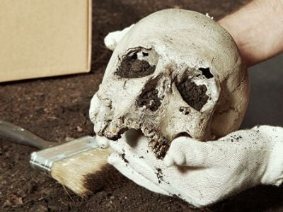 В Польше обнаружен скелет возрастом 7 000 лет