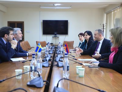 Министр экономики Армении и посол Швеции обсудили вопросы расширения торгово-экономических отношений