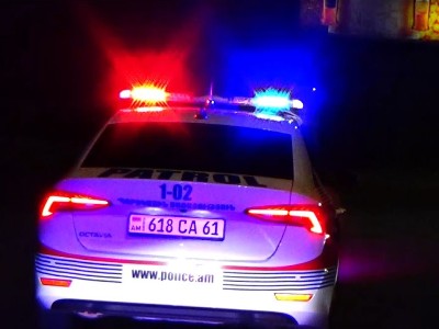 Քաշքշել են պարեկներին, պղպեղային օդամղիչը փչել դեմքին.  Գյուլագարակի ոչ սթափ բնակիչները փորձել են մտնել դենդրոպարկ