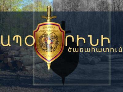 Վարորդները փայտանյութի վերաբերյալ փաստաթուղթ չեն ներկայացրել