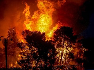 Число жертв лесного пожара в Казахстане увеличилось до 15 человек