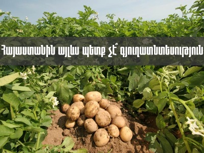Депутат - властям: Угробив сельское хозяйство в Армении, вы хотите открыть дорогу для турецких товаров?
