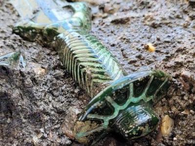 Археологи из Германии нашли меч, которому 3000 лет