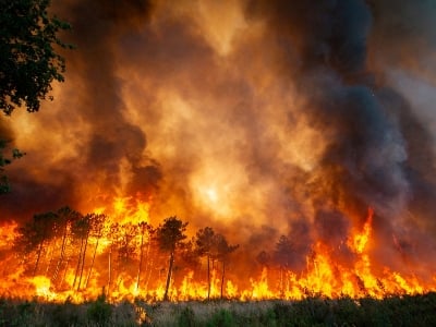 Canada wildfires considerably deteriorate environmental situation in Toronto