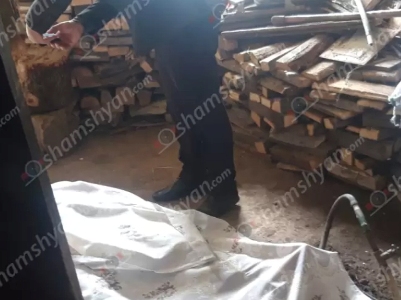 Գեղարքունիքի մարզում տղամարդը էլեկտրահարվել եւ տեղում մահացել է. shamshyan.com
